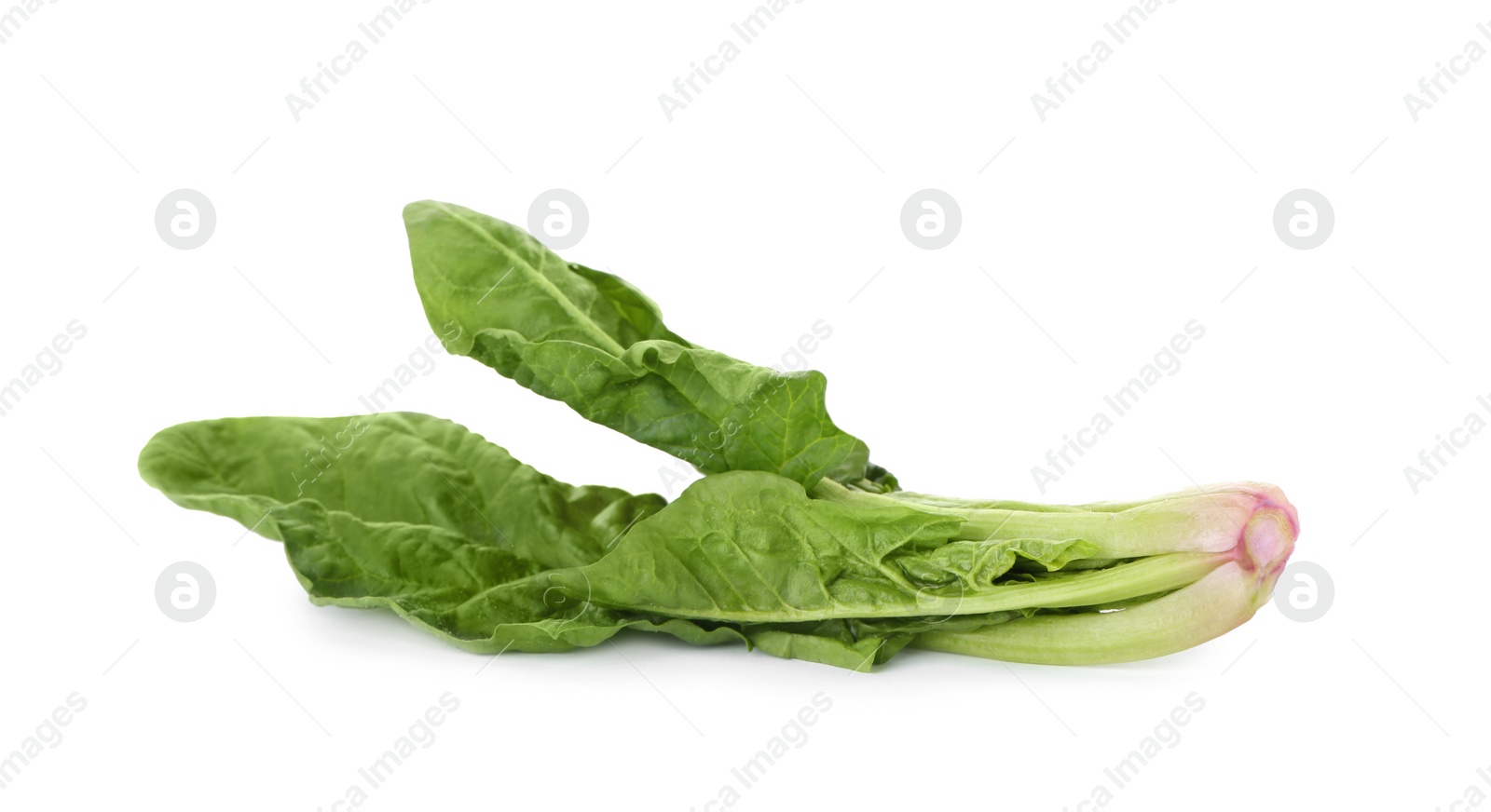 Photo of Fresh leaves of spinach isolated on white