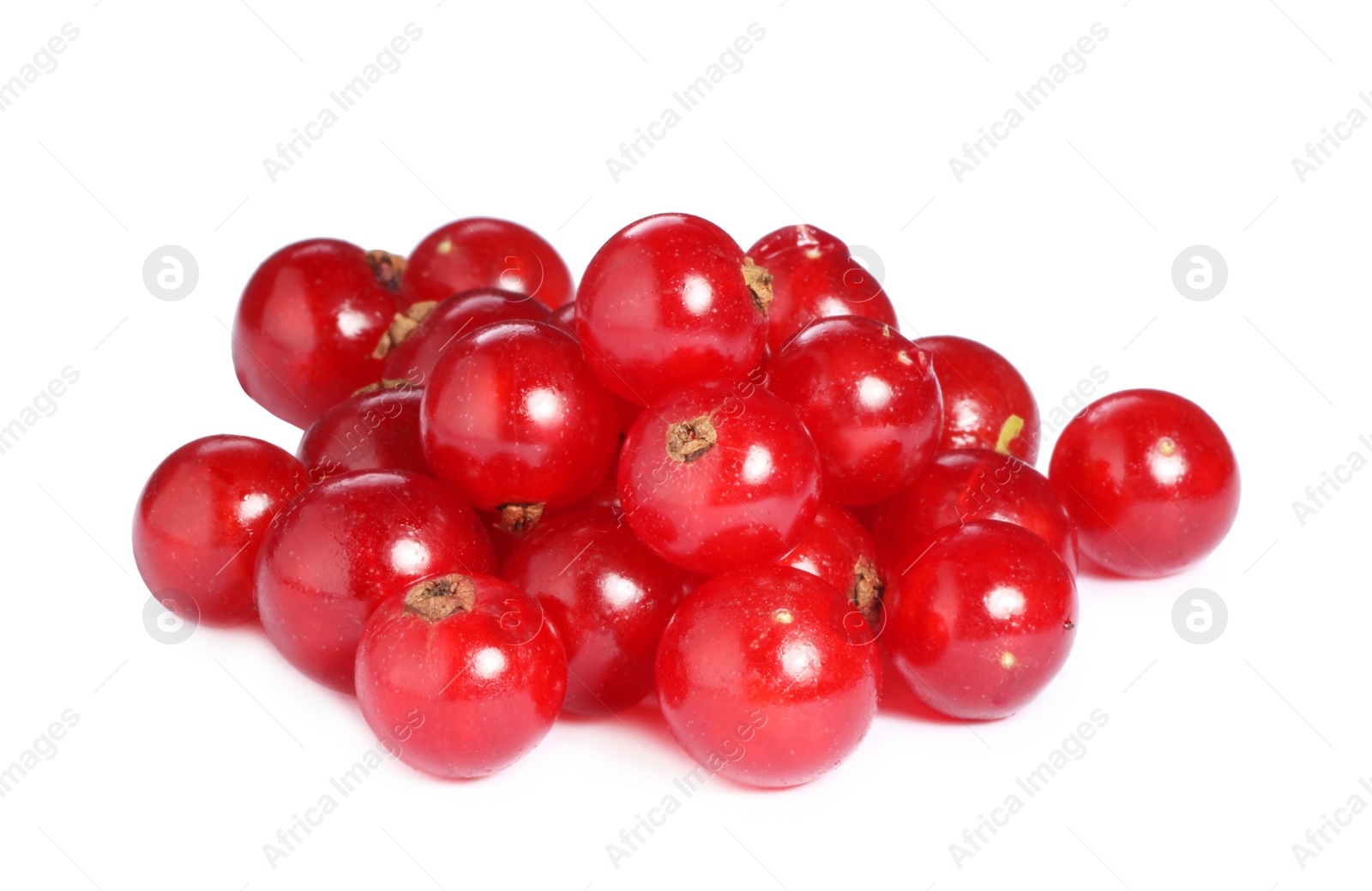 Photo of Pile of fresh ripe red currants isolated on white