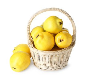 Basket with delicious fresh ripe quinces isolated on white