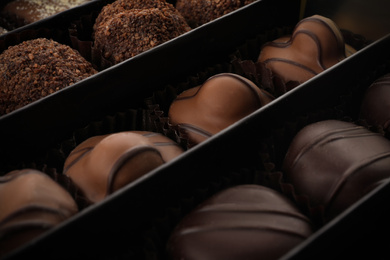 Many different chocolate candies in box, closeup