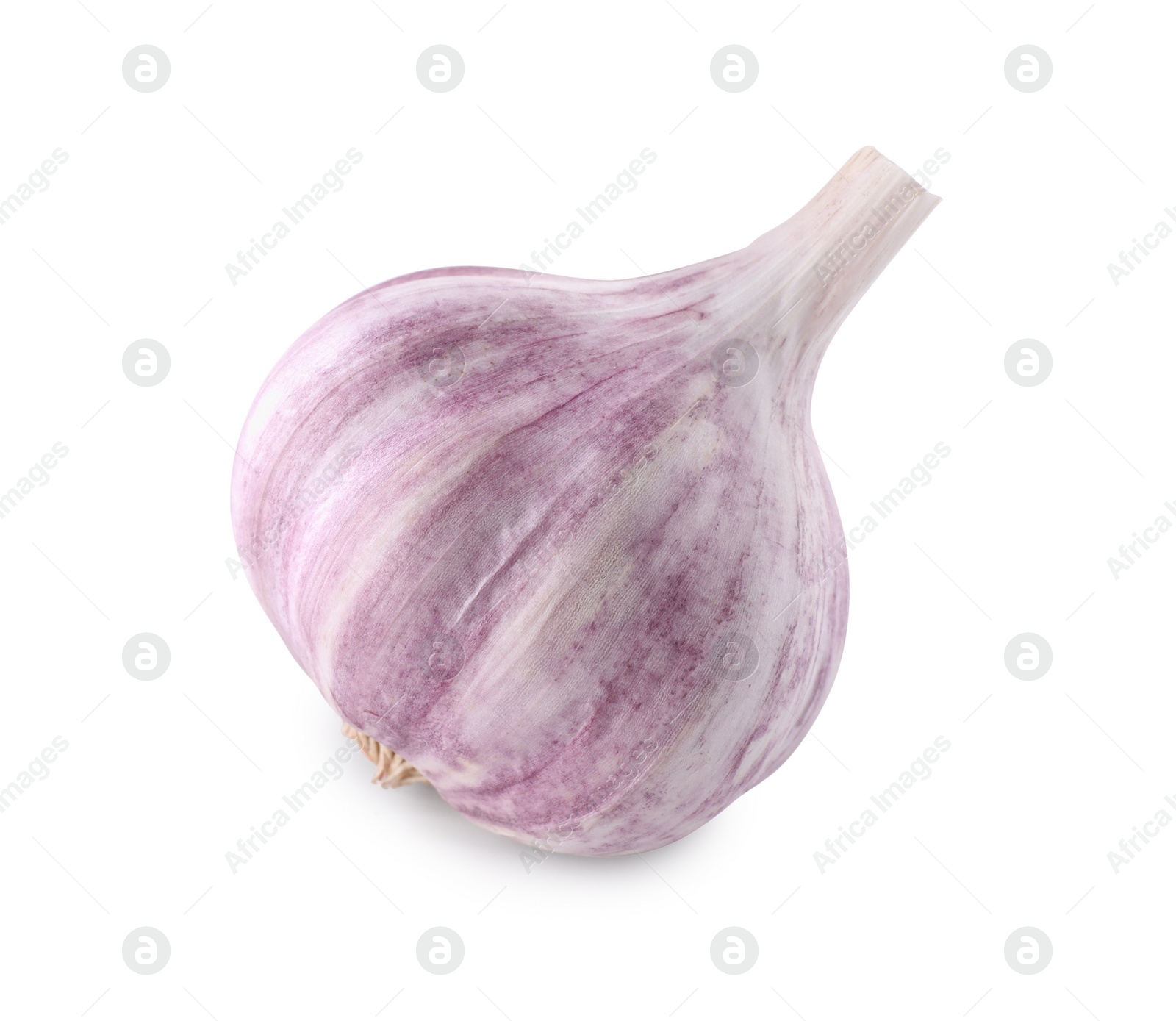 Photo of Fresh raw garlic head isolated on white