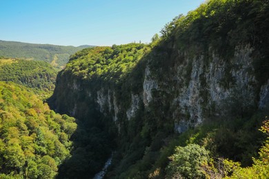 Picturesque view of forest on cliff under beautiful sky