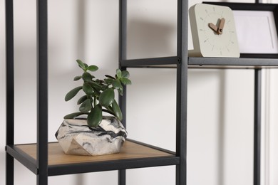 Potted jade plant and clock on shelving unit near white wall