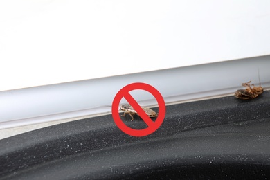 Image of Cockroach with red prohibition sign on sink. Pest control