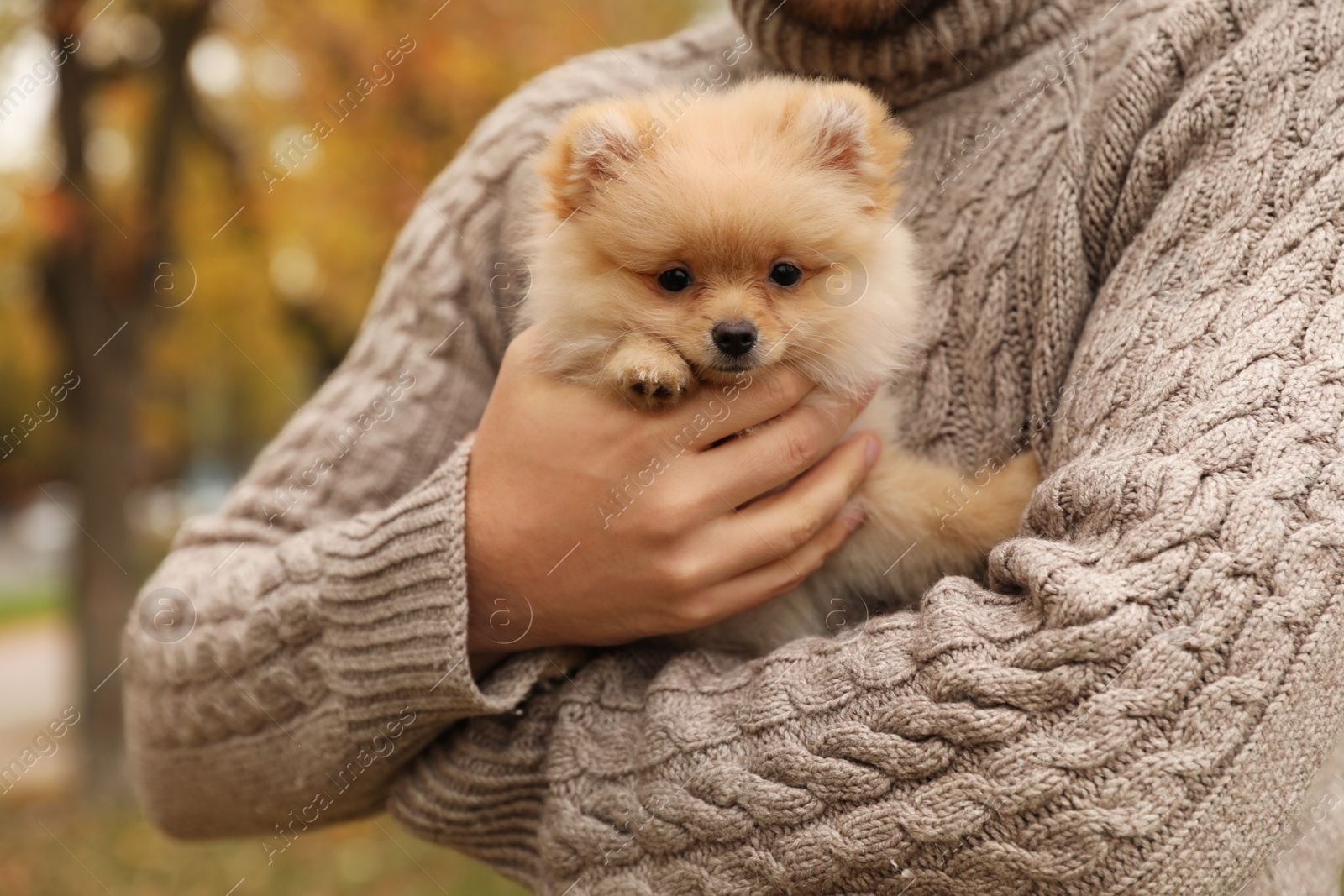 Photo of Man with small fluffy dog outdoors on autumn day, closeup