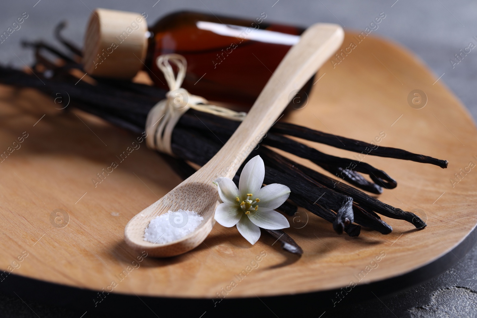 Photo of Spoon with sugar, flower, vanilla pods and bottle of essential oil on grey table, closeup