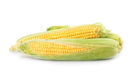 Photo of Ripe raw corn cobs with husk on white background