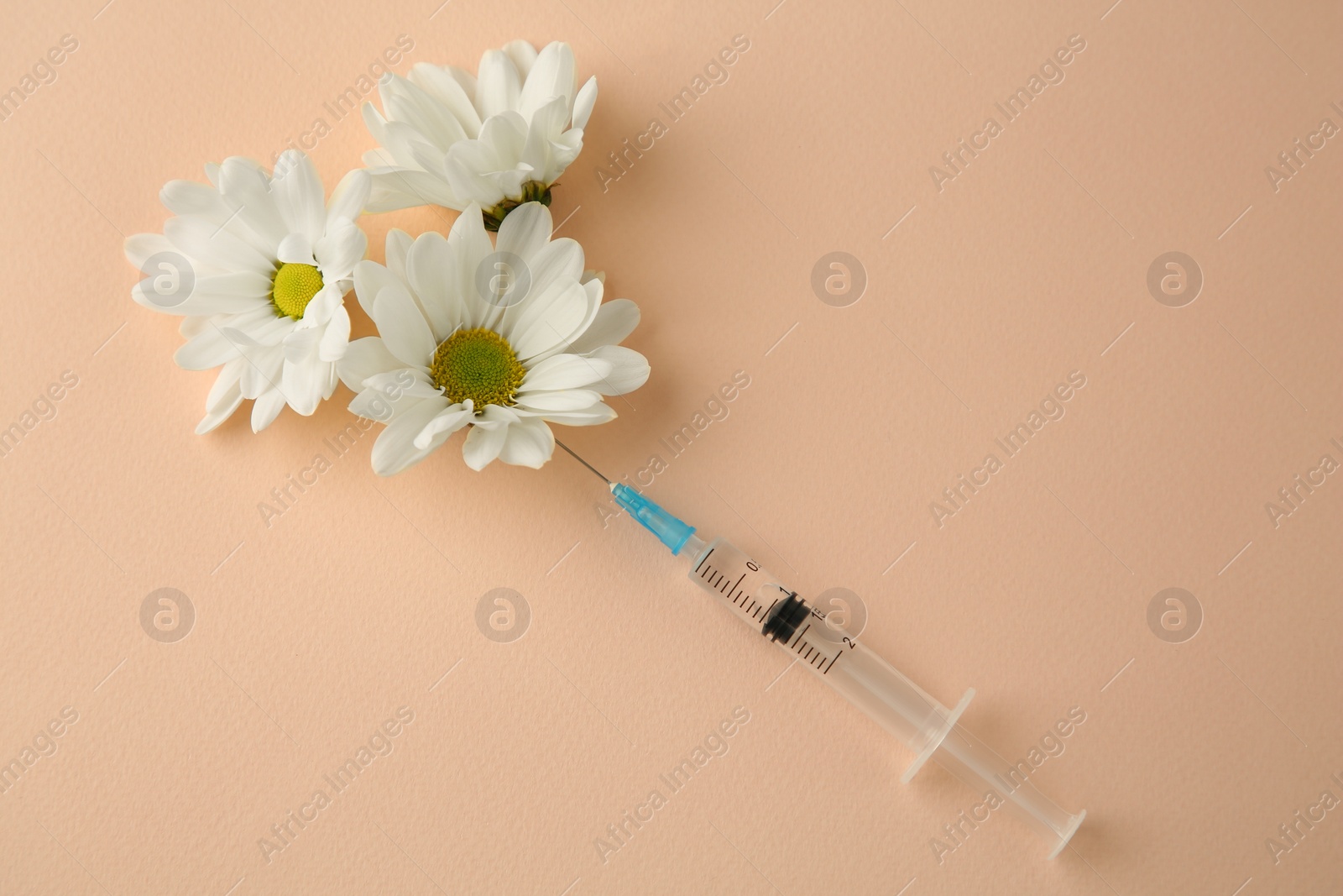Medical syringe and beautiful chrysanthemum flowers on beige background, above view Photo of Medical syringe and beautiful chrysanthemum flowers on beige background, above view