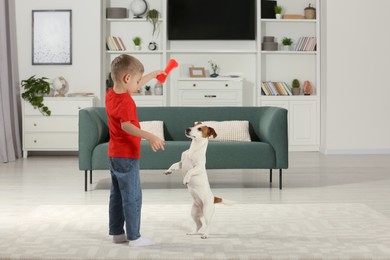 Photo of Little boy playing with his cute dog at home, space for text. Adorable pet