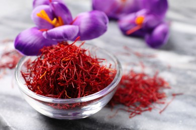 Dried saffron in bowl and crocus flowers on grey board, closeup