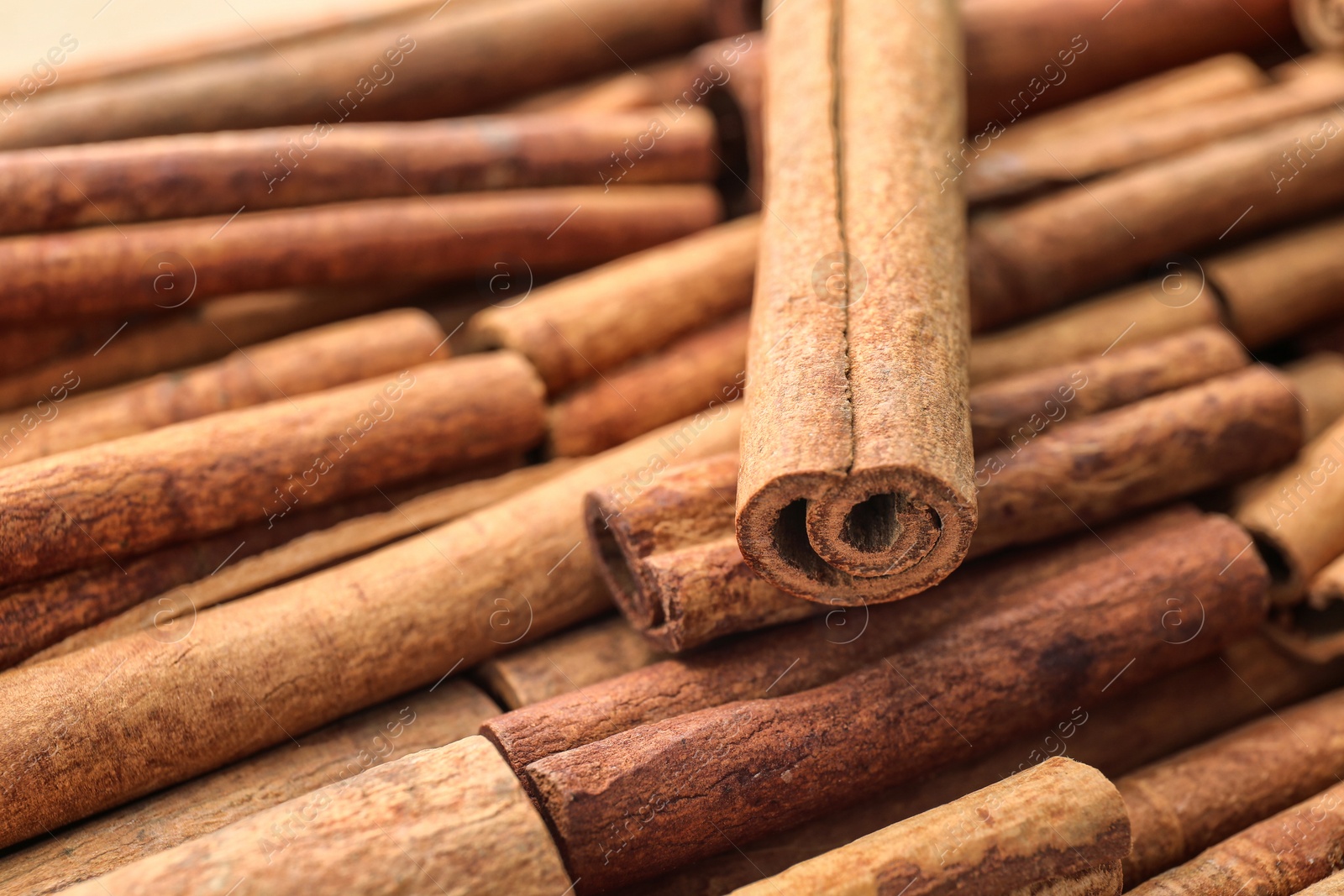 Photo of Aromatic cinnamon sticks, closeup