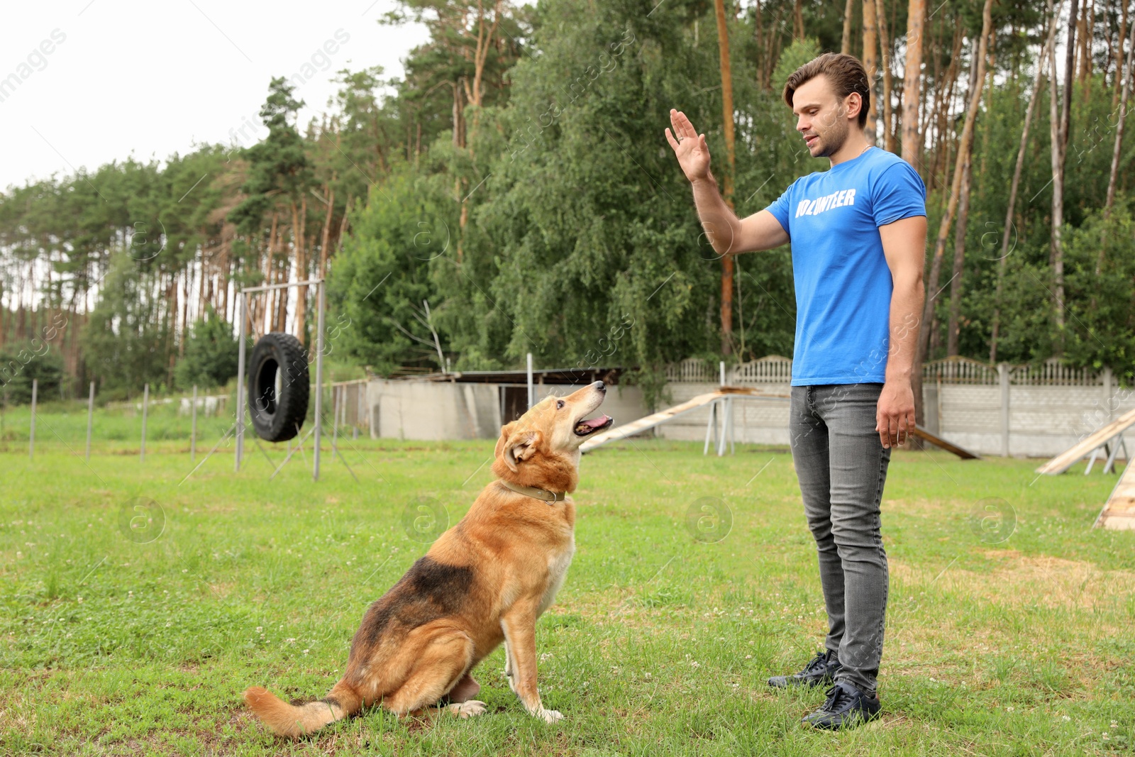 Photo of Male volunteer with homeless dog at animal shelter outdoors