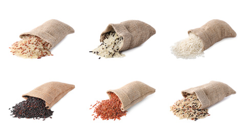 Image of Set with different types of rice in bags on white background