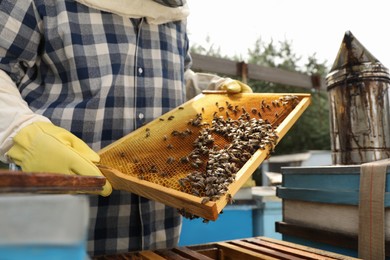 Photo of Beekeeper with hive frame at apiary, closeup. Harvesting honey