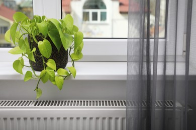 Photo of Beautiful houseplant on window sill and modern radiator at home. Central heating system