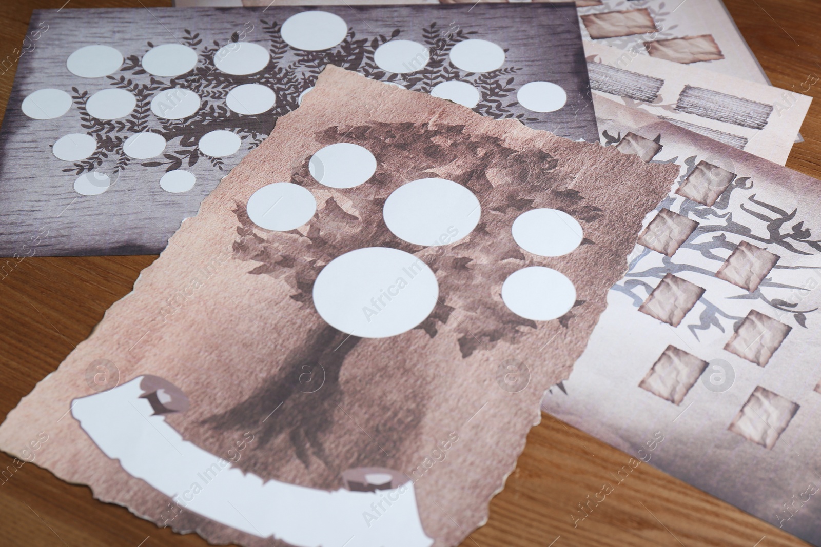 Photo of Blank family tree charts on wooden table, closeup