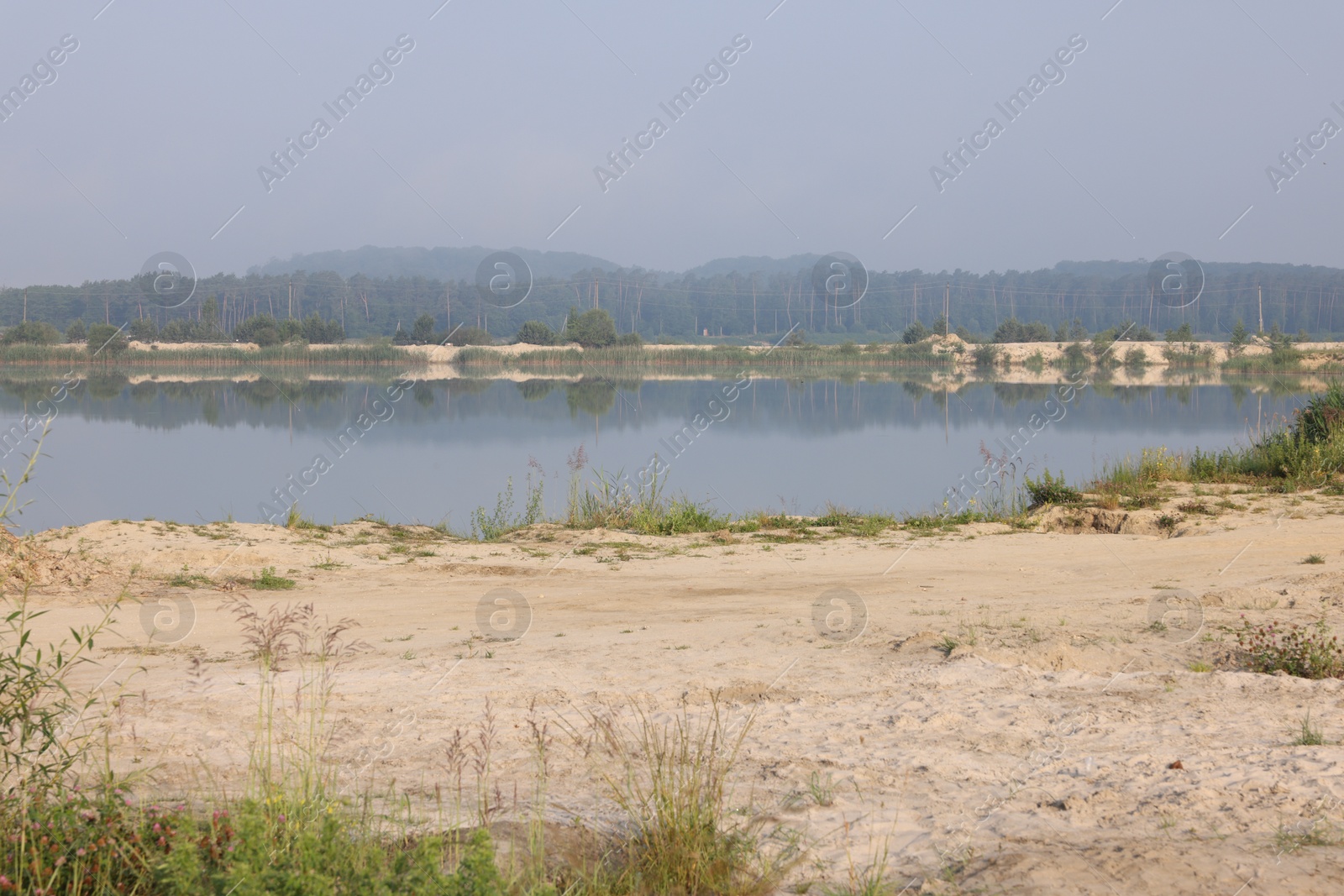 Photo of Picturesque view of lake and sandy beach on summer day