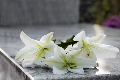 Photo of White lilies on granite tombstone outdoors. Funeral ceremony