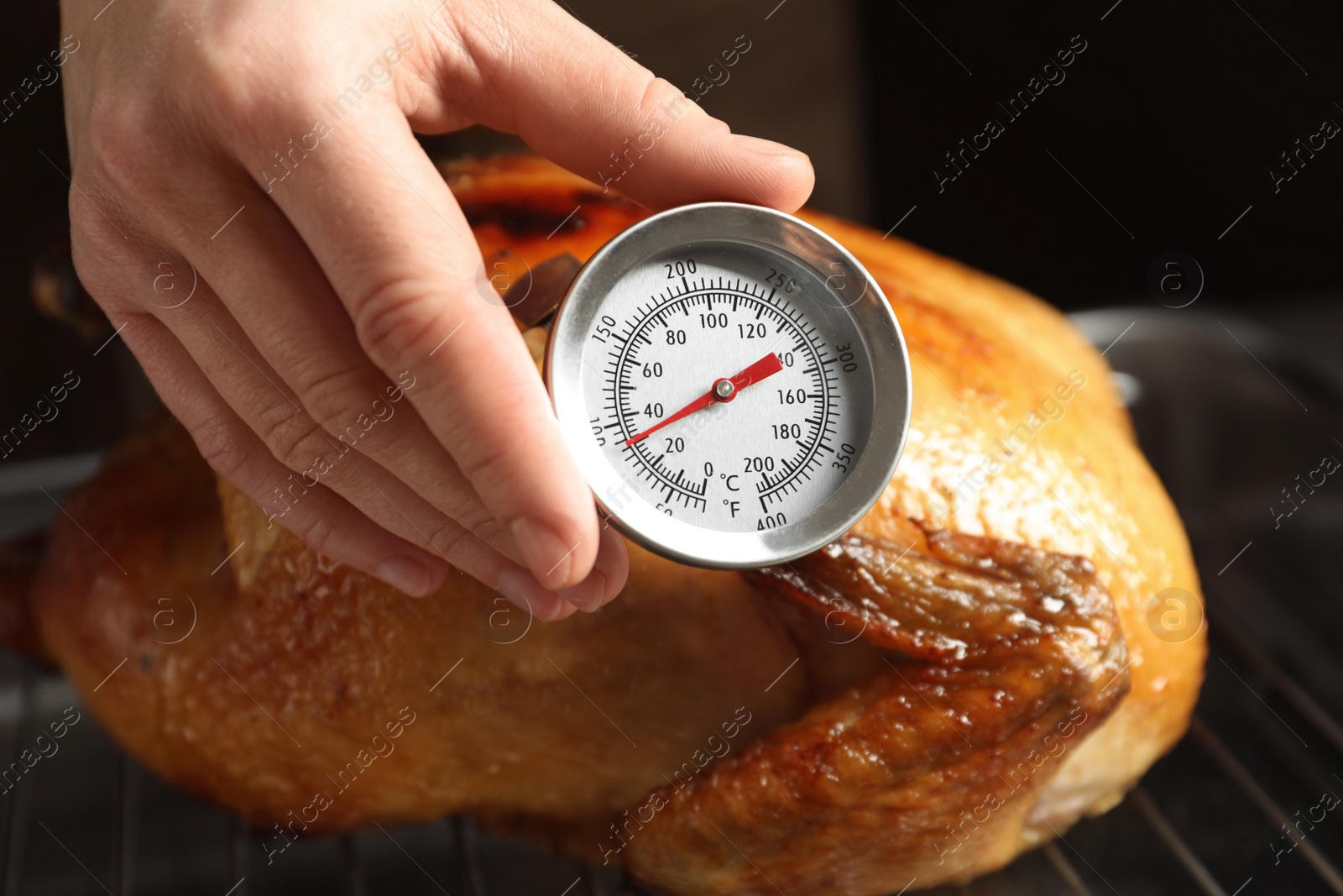 Photo of Woman measuring temperature of whole roasted turkey with meat thermometer, closeup