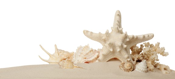 Photo of Beautiful starfish, coral and sea shells in sand on white background