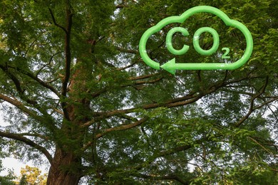 Image of Concept of clear air. CO2 inscription in illustration of cloud with arrow and beautiful green tree, low angle view