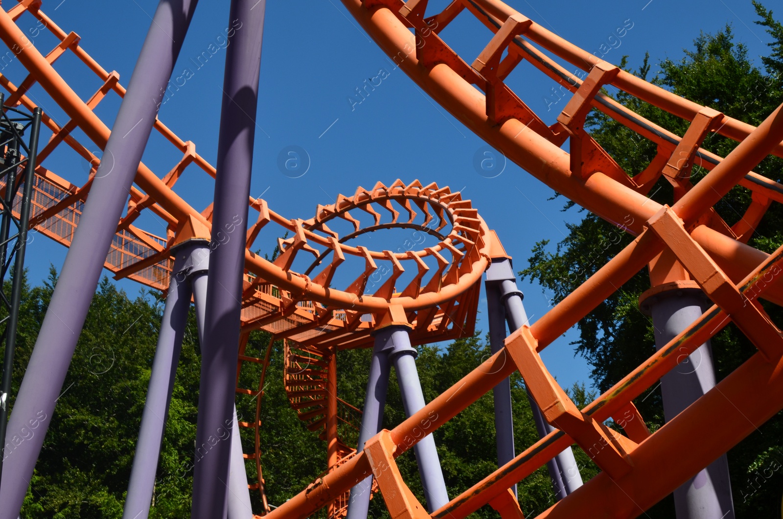 Photo of Amusement park. Beautiful colorful rollercoaster and green trees against blue sky