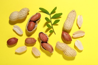 Photo of Fresh peanuts and twig on yellow background, flat lay