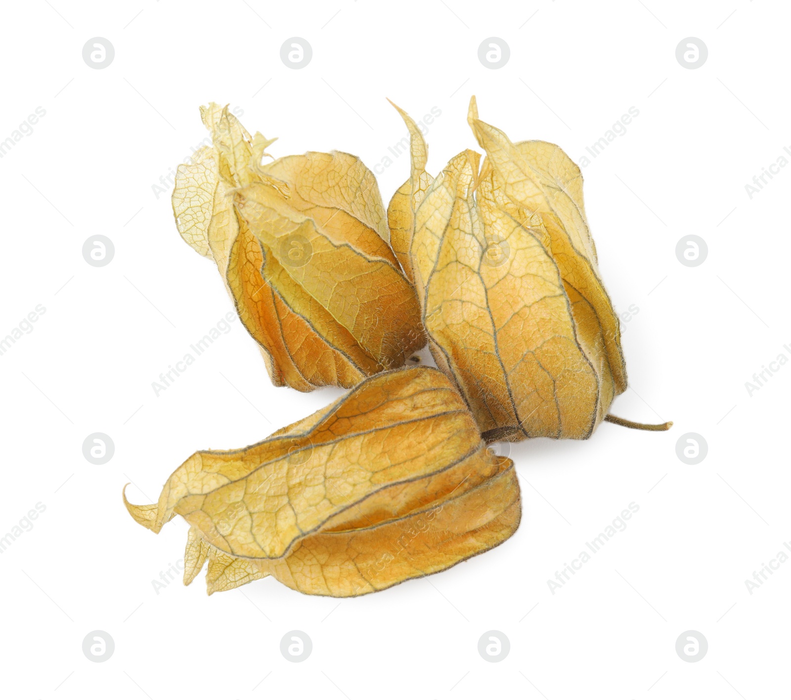 Photo of Ripe physalis fruits with calyxes isolated on white, top view