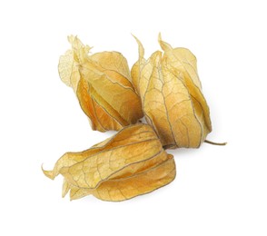 Ripe physalis fruits with calyxes isolated on white, top view