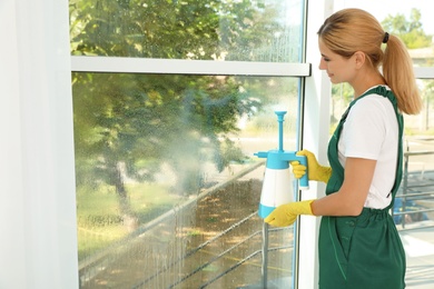 Female janitor cleaning window with detergent indoors