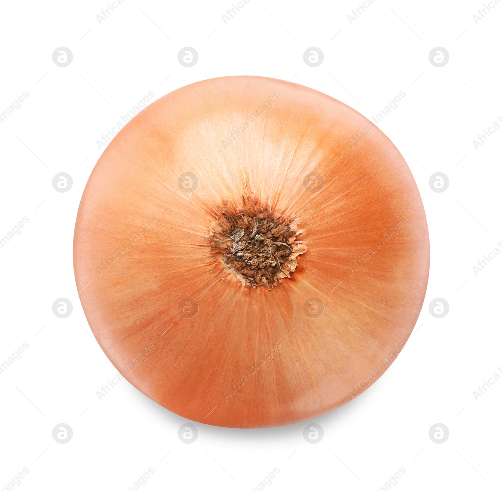 Photo of Fresh ripe onion bulb isolated on white, top view