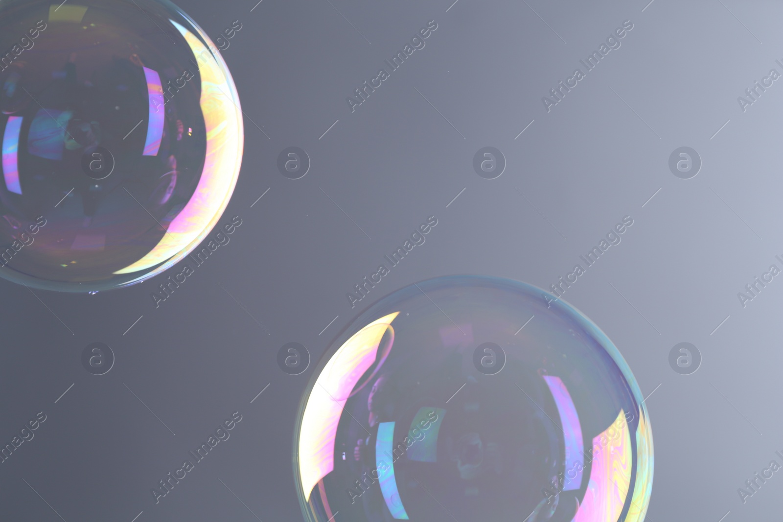 Photo of Beautiful transparent soap bubbles on gray background