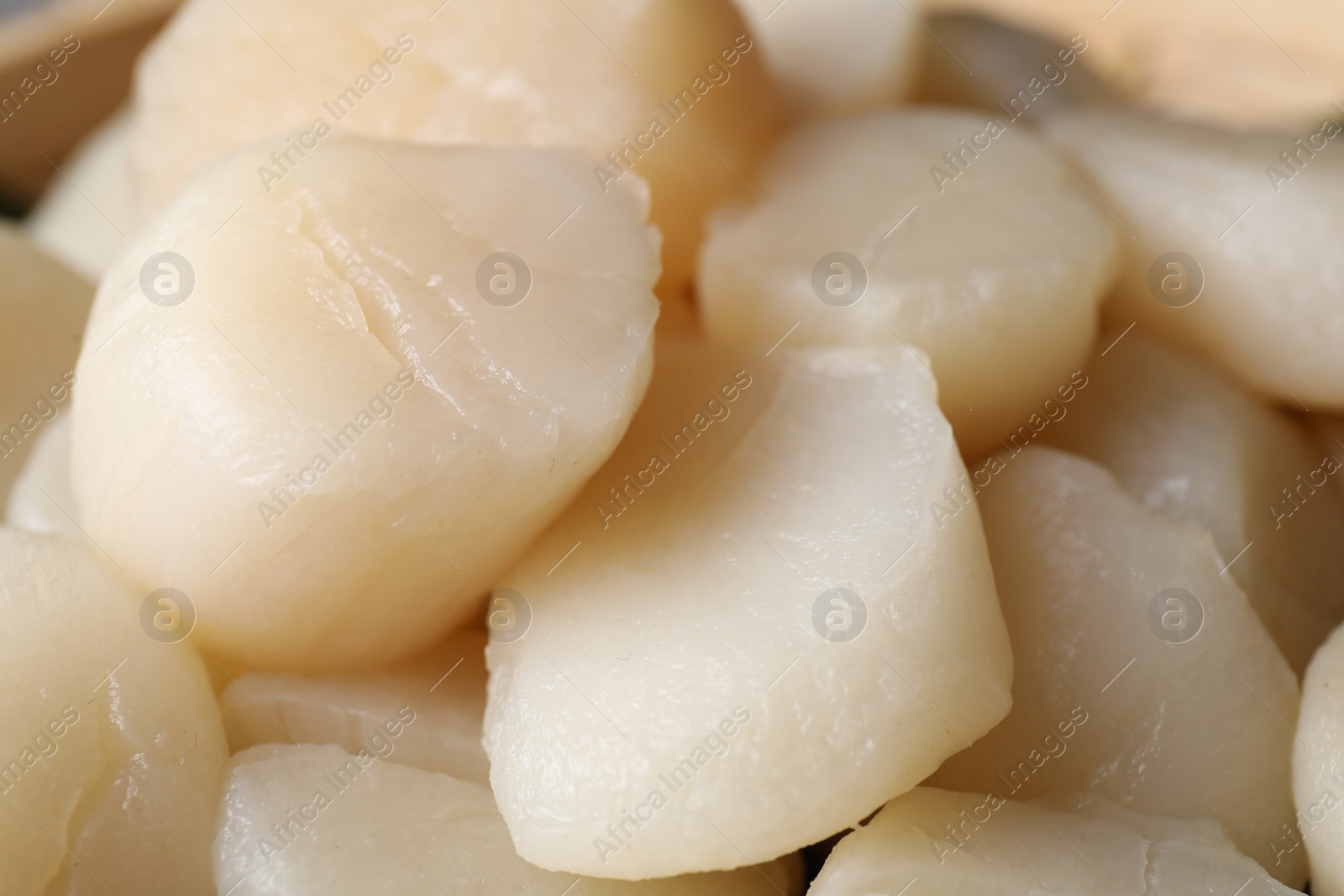 Photo of Fresh raw scallops as background, closeup view