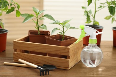 Seedlings growing in plastic containers with soil, gardening tools and spray bottle on wooden table