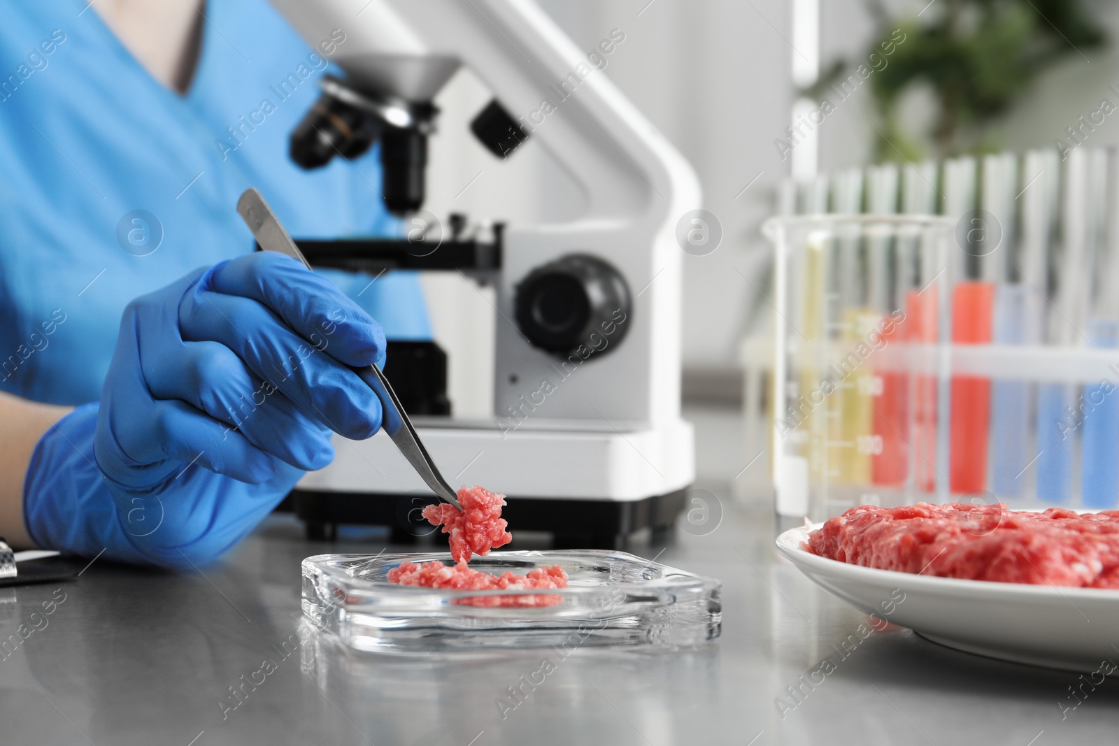 Photo of Scientist checking meat at table in laboratory, closeup. Quality control