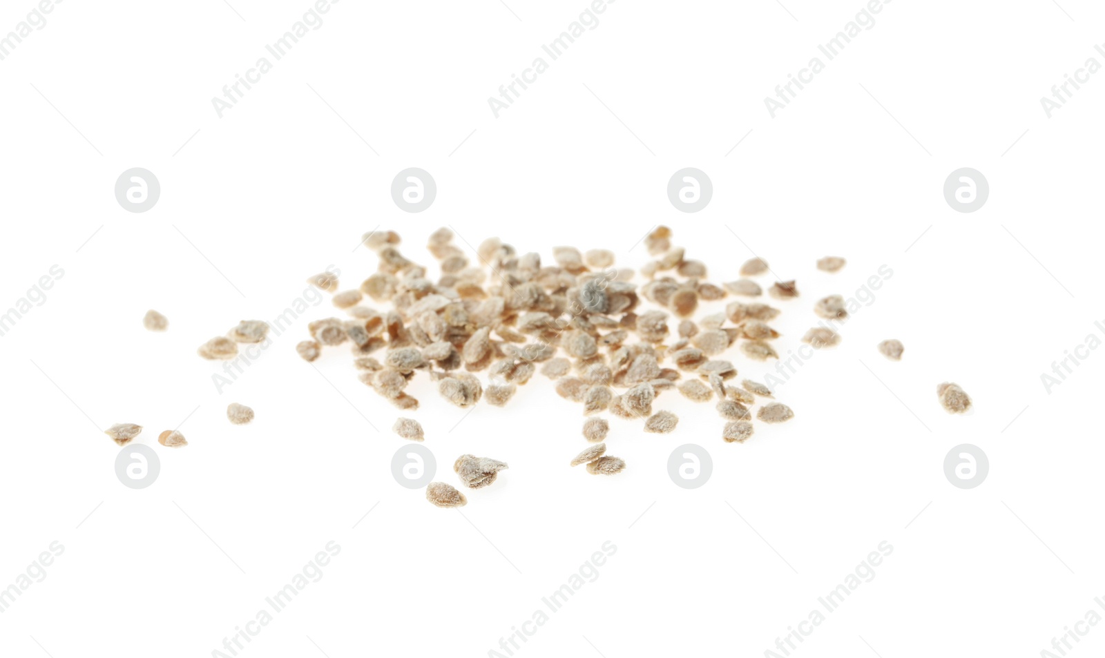 Photo of Pile of raw tomato seeds on white background. Vegetable planting