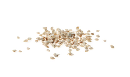 Photo of Pile of raw tomato seeds on white background. Vegetable planting