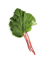 Photo of Fresh rhubarb stalks with leaves isolated on white, top view
