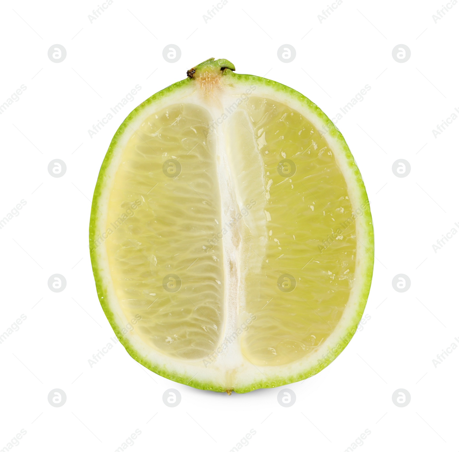 Photo of Citrus fruit. Half of fresh lime isolated on white