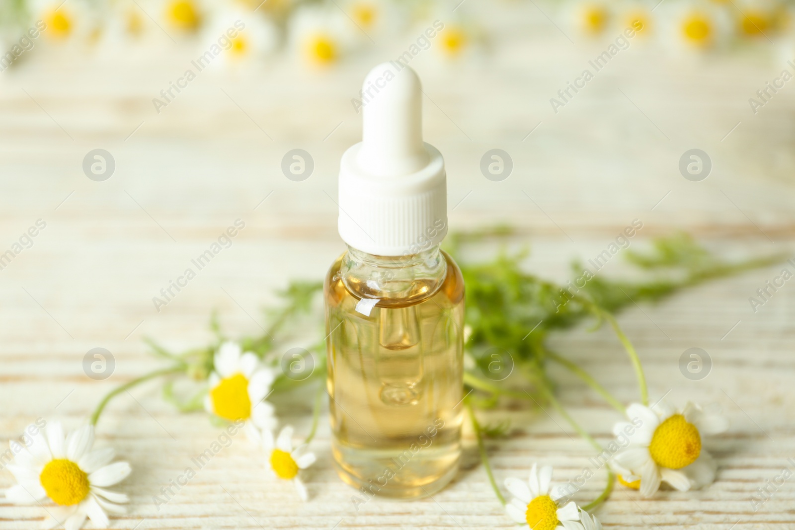 Photo of Bottle of essential oil and chamomiles on white wooden table