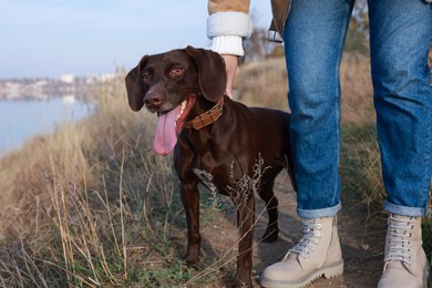 Photo of Woman with her German Shorthaired Pointer dog walking outdoors, closeup