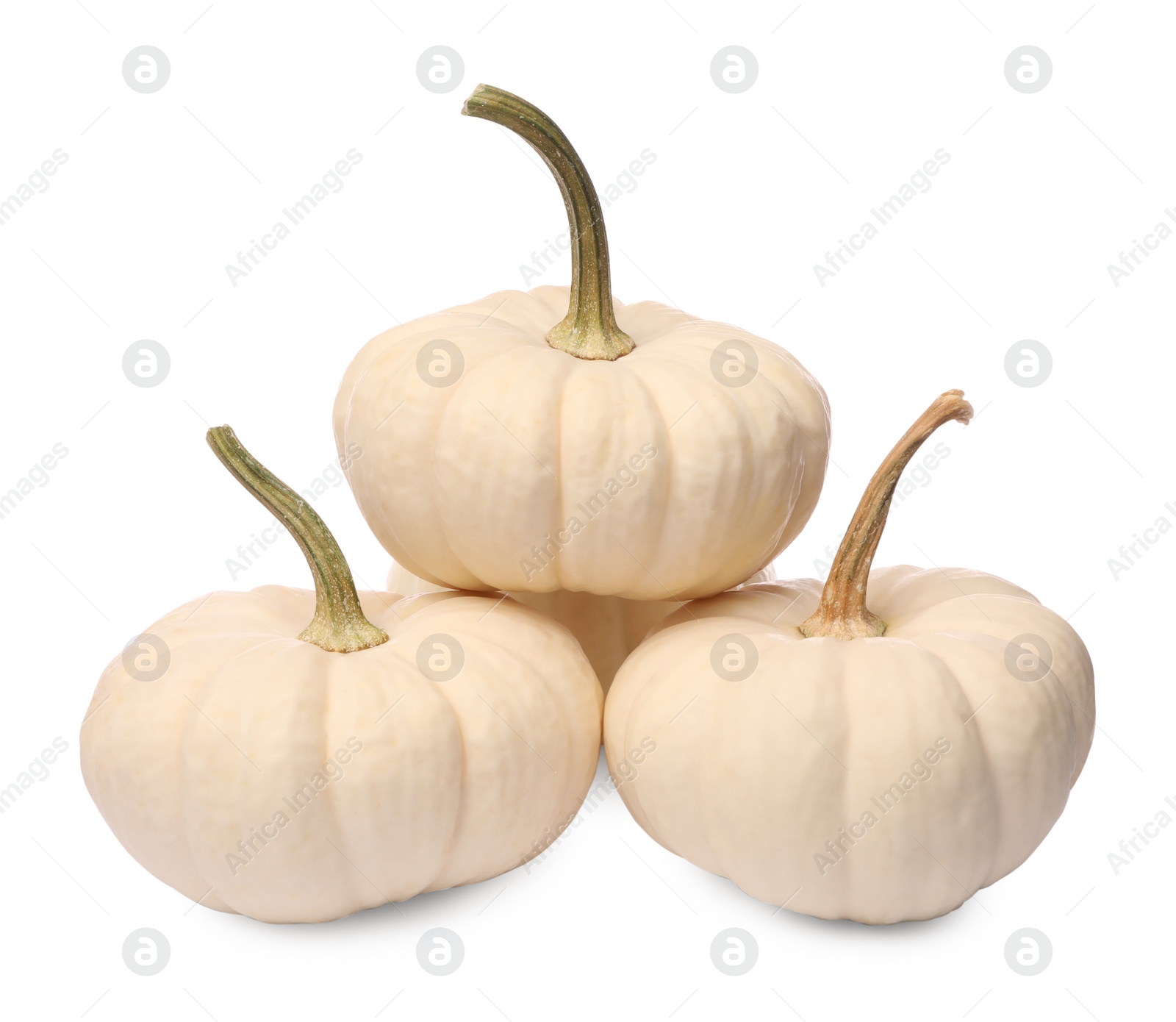 Photo of Many ripe beige pumpkins isolated on white