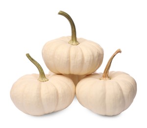 Many ripe beige pumpkins isolated on white