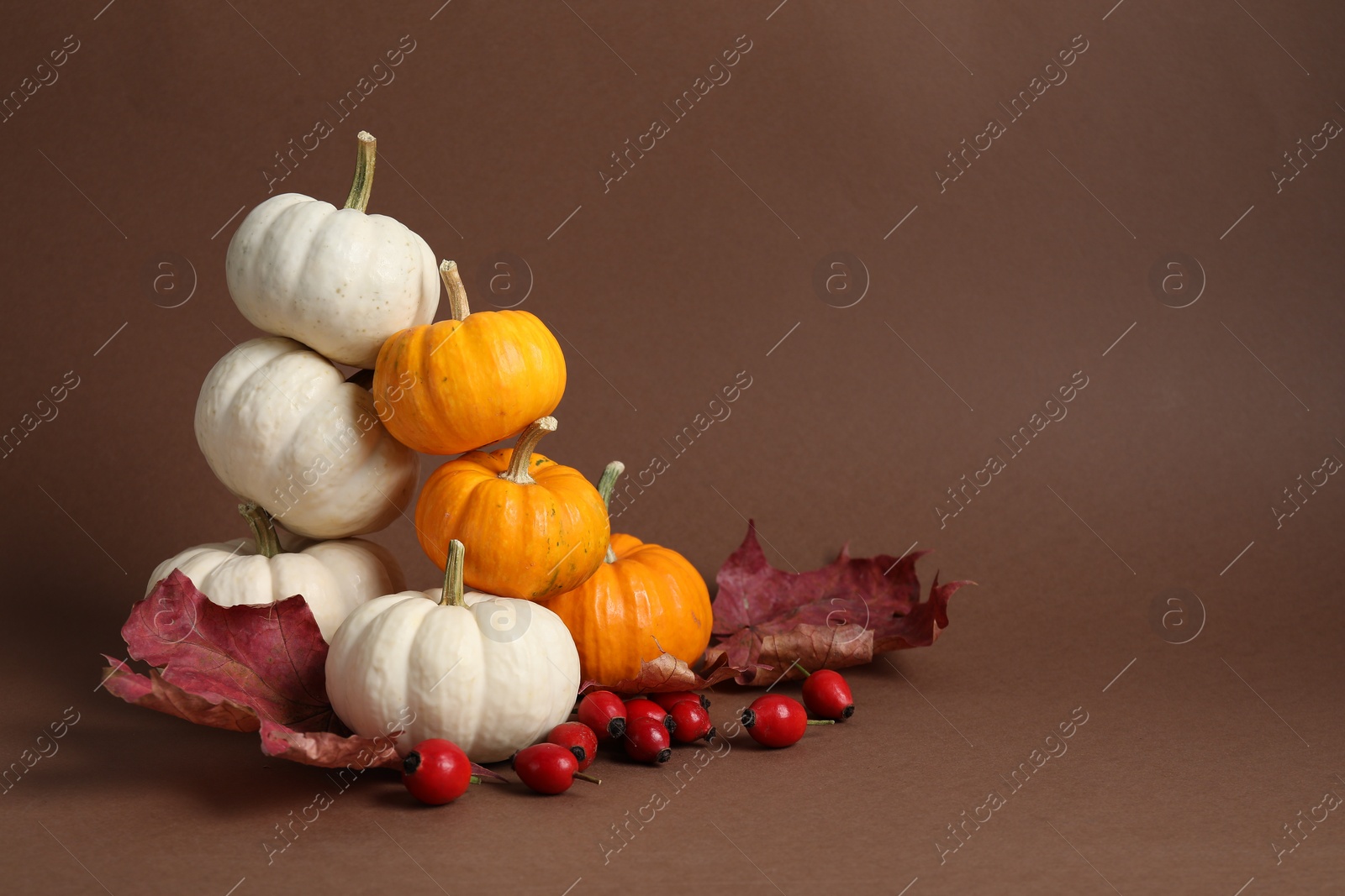 Photo of Thanksgiving day. Beautiful composition with pumpkins on brown background, space for text
