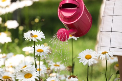 Photo of Woman watering fresh flower bed with can outdoors, closeup