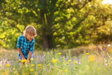Photo of Cute little boy outdoors, space for text. Child spending time in nature