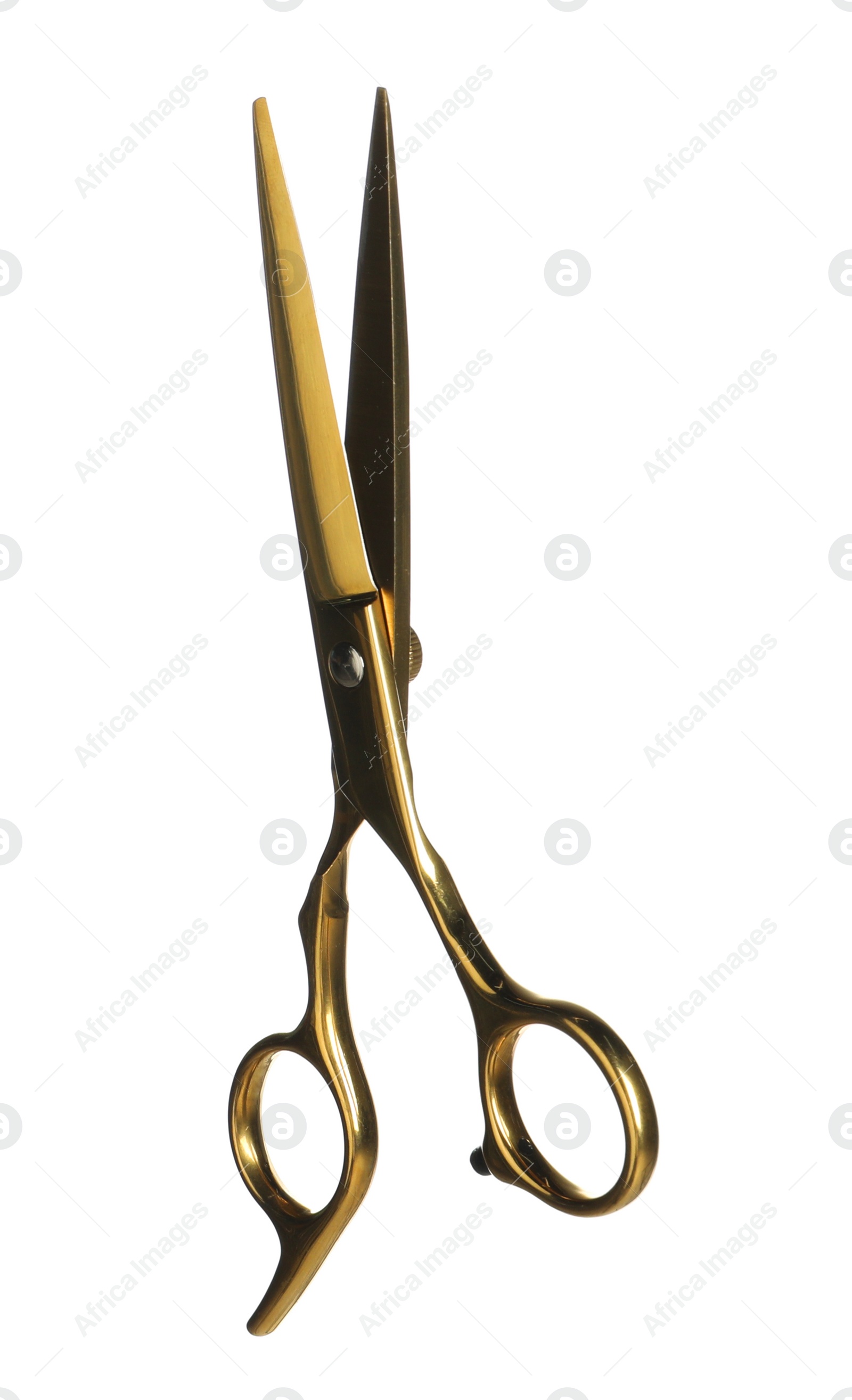 Photo of Professional hairdresser scissors isolated on white. Haircut tool