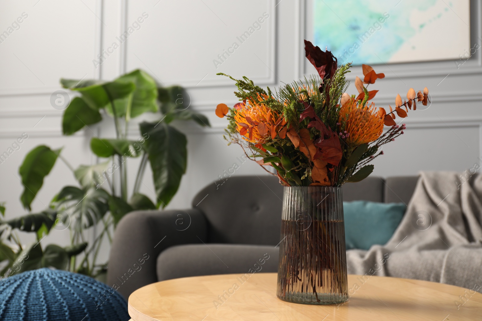 Photo of Vase with bouquet of beautiful leucospermum flowers on wooden coffee table, space for text