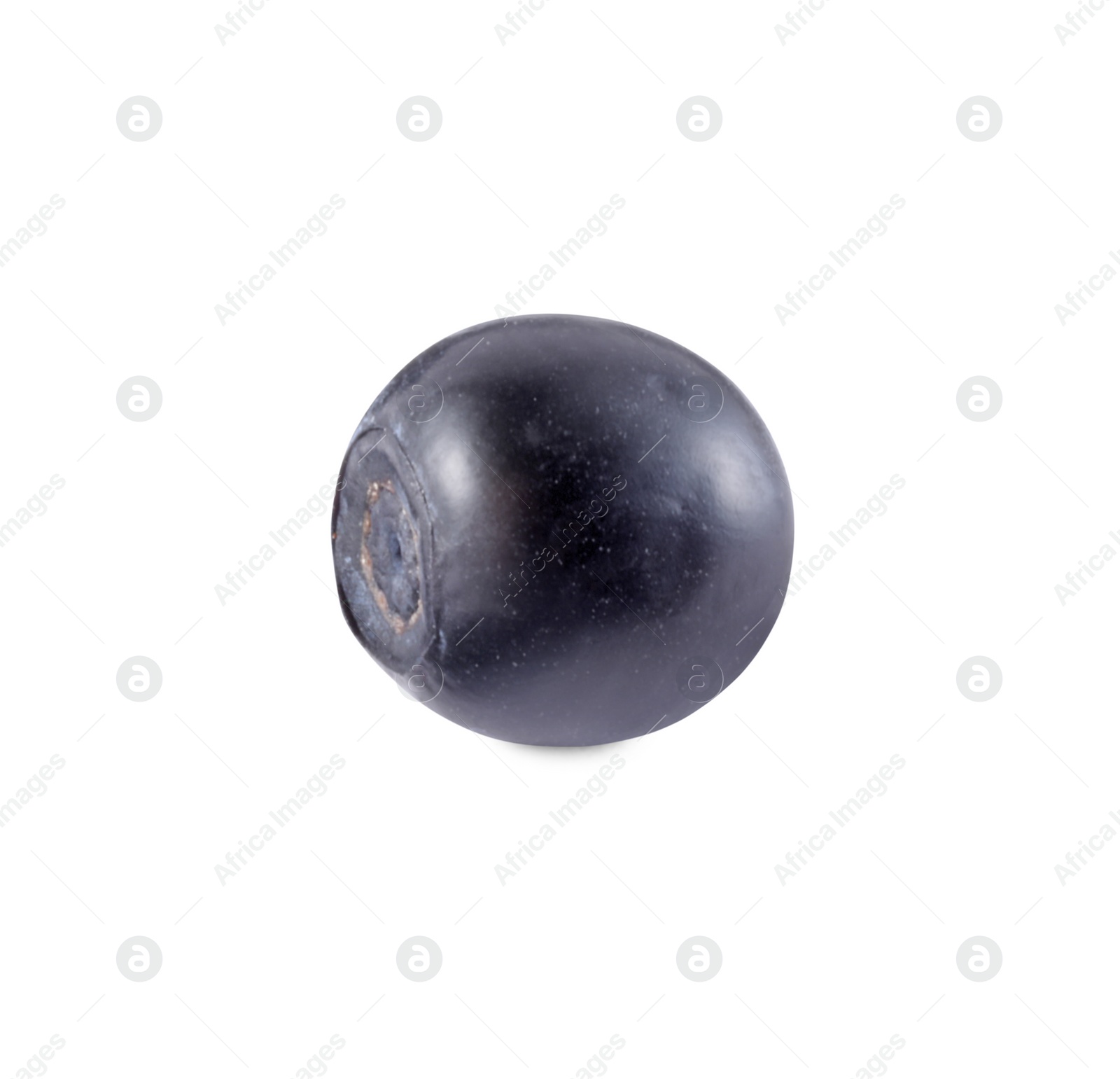 Photo of One tasty ripe bilberry isolated on white