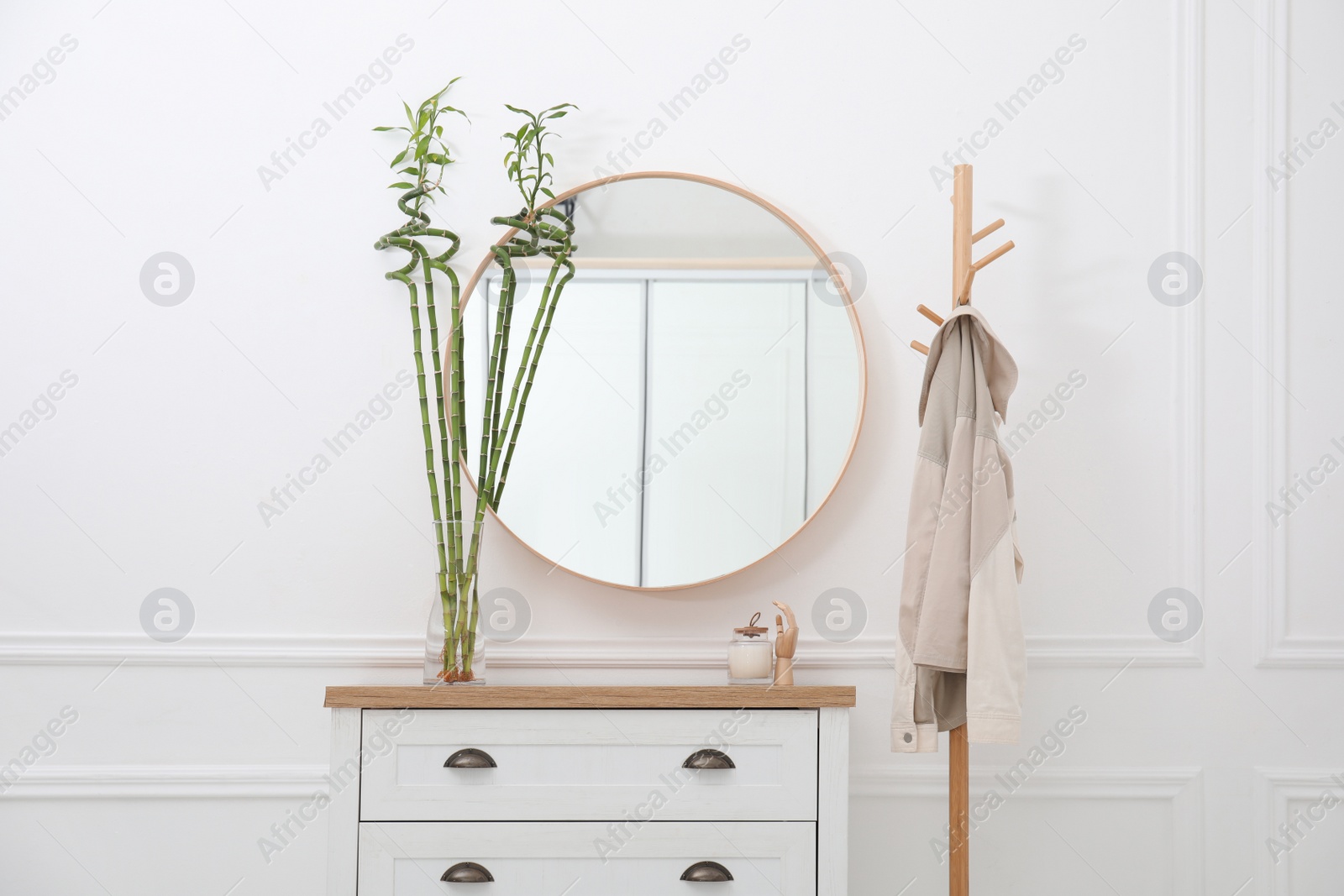 Photo of Vase with Lucky bamboo on chest of drawers in hallway. Stylish interior